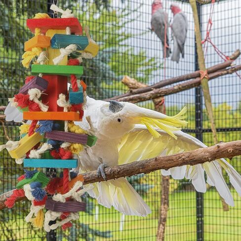 Extra Large Bird Parrot Toys for Macaws, African Greys, Amazons – Durable Parrot Chew Toy for Large Birds in Kuwait