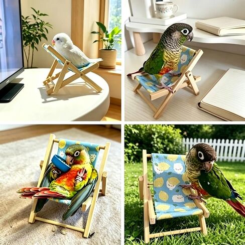 DRESSO 4 PCS Parrot Intelligence Toy, Bird Training Toys Sets for Parakeet, Bird Puzzles Toy for Cockatiel Conure Lovebird, Shopping Cart, Perch Chair, Small Sand Hammer, Ring Stacker Toy in Kuwait