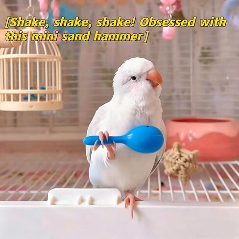 DRESSO 4 PCS Parrot Intelligence Toy, Bird Training Toys Sets for Parakeet, Bird Puzzles Toy for Cockatiel Conure Lovebird, Shopping Cart, Perch Chair, Small Sand Hammer, Ring Stacker Toy in Kuwait