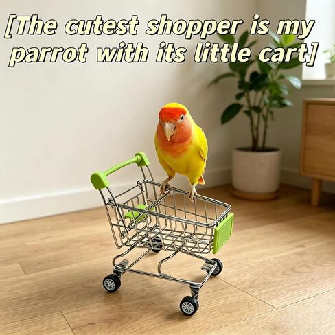 DRESSO 4 PCS Parrot Intelligence Toy, Bird Training Toys Sets for Parakeet, Bird Puzzles Toy for Cockatiel Conure Lovebird, Shopping Cart, Perch Chair, Small Sand Hammer, Ring Stacker Toy in Kuwait