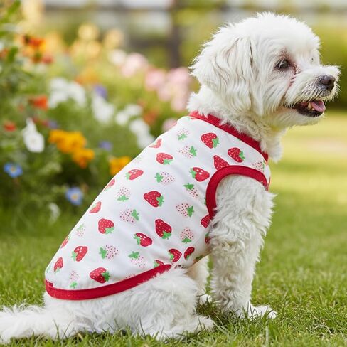 Cute Pet Vest Strawberry Pattern Shirt Sleeveless Summer Tee for Small Dogs Cats Soft Lightweight Puppy Outfit Wear(White,S) in Kuwait