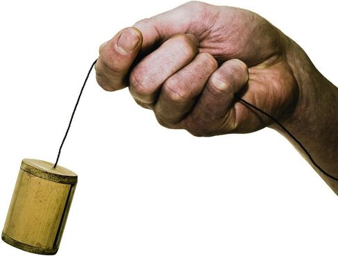 طائر الخيزران المزدوج Bullroarer in Kuwait