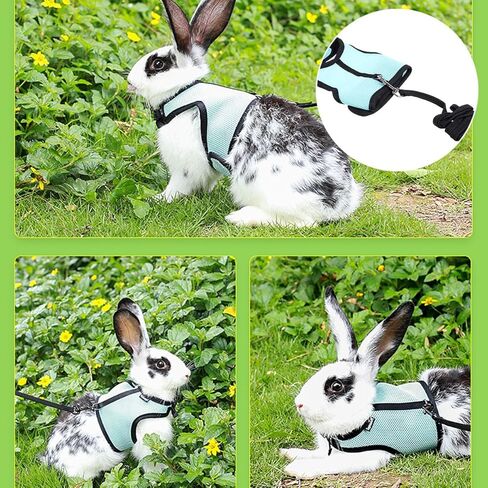 ERINGOGO Small Pet Harness Vest Leash for Rabbits, Blue L Size, Soft Breathable Pet Traction Rope for Outdoor Walking and Control in Kuwait