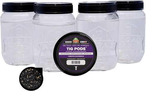 قرون AlgaeBarn Tig :: مجدافيات الأرجل الحية :: Tigriopus californicus Copepods :: تنظيف الخزان :: طعام الماندرين والأسماك Finicky (+3000 قرنة) in Kuwait