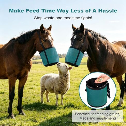 Horse Feed Bag for Grain, Breathable Muzzle Feed Bags for Horses, Universal Mesh Feedbag for Feeding Grain, Anti-Spill Design Feeder, Durable Nose Bag with Solid Bottom (Turquoise) in Kuwait