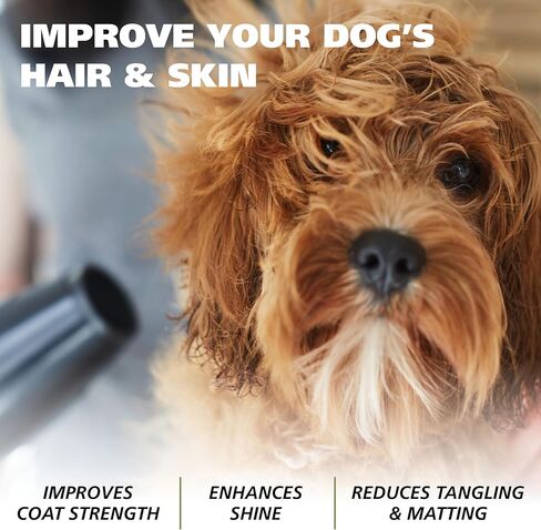 Wahl Oatmeal Ultra Concentrate Dog Shampoo Bar with Manuka Honey – Calming, Moisturizing Dog Shampoo for Dry, Itchy Skin Relief – Coconut Lime Verbena Scent, 2-Pack, Model - 3029029 in Kuwait