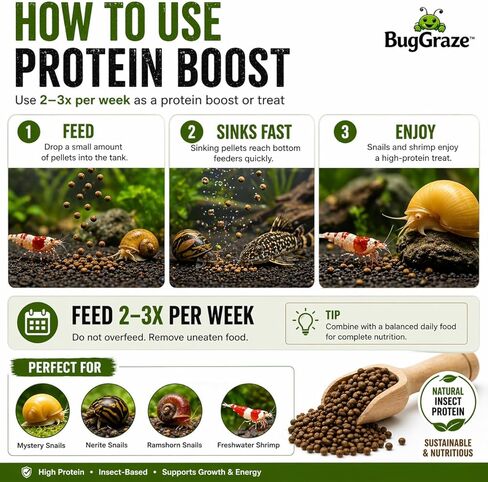 BugGraze BSFL Pellets for Snails & Shrimp – High Protein Supplement Food – Sinking Insect-Based Pellets for Growth & Energy – Aquarium Treat for Mystery, Nerite & Shrimp – 3 oz in Kuwait