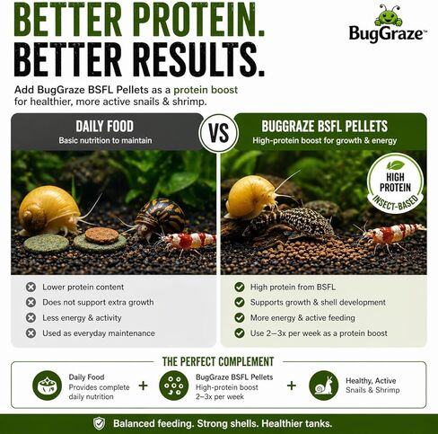 BugGraze BSFL Pellets for Snails & Shrimp – High Protein Supplement Food – Sinking Insect-Based Pellets for Growth & Energy – Aquarium Treat for Mystery, Nerite & Shrimp – 3 oz in Kuwait