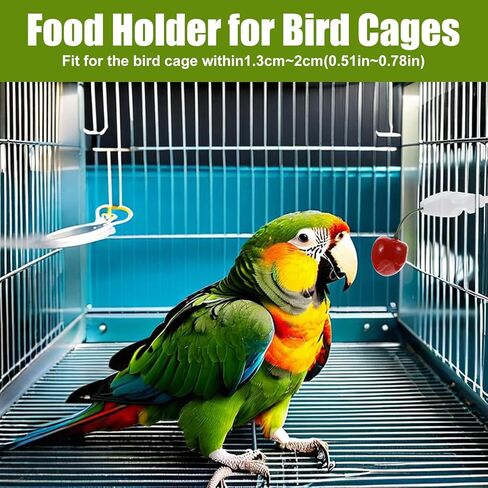 10PCS Bird Cage Food Holder, Plastic Parrot Fruit Vegetable Clips, Millet Holder for Bird Cage Parrot Food Feeder Clip for Budgie Parakeet Cockatoo Macaw Cockatiel Conure-White and Green in Kuwait