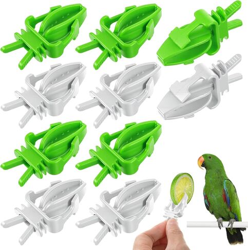 10PCS Bird Cage Food Holder, Plastic Parrot Fruit Vegetable Clips, Millet Holder for Bird Cage Parrot Food Feeder Clip for Budgie Parakeet Cockatoo Macaw Cockatiel Conure-White and Green in Kuwait