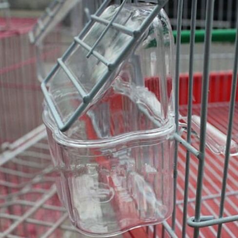 Cabilock 10Pcs Splash-Proof Bird Feeder for Cage Parrot Feeding Box Transparent Bird Food Bowls Easy Install Hanging Feeding Cups in Kuwait