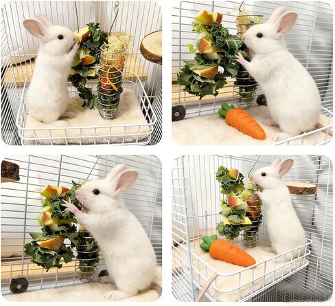 3PCS Rat Enrichment Toys Stainless Steel Bird Food Holder Rat Parrot Foraging Toy Fancy Mice Cage Accessories Puzzle Toy Slow Feeder in Kuwait