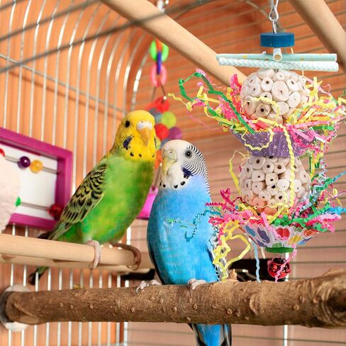 Conure Toys, Bird Hanging Foraging Shredder Toys, Soft Beak Chew Shred Forage Toys Bird Cage Accessories for Parrots,Cockatiel,Conure,Love Birds,Parakeets,Budgie and Other Small Birds in Kuwait