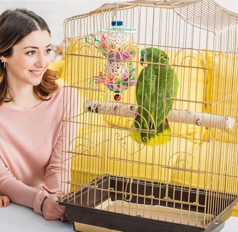 Conure Toys, Bird Hanging Foraging Shredder Toys, Soft Beak Chew Shred Forage Toys Bird Cage Accessories for Parrots,Cockatiel,Conure,Love Birds,Parakeets,Budgie and Other Small Birds in Kuwait