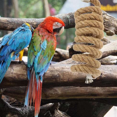 LIOOBO 2M Bird Parrot Climbing Rope Perch Bungee Toy Flexible Cotton Rope Swing for Parakeet Cockatiel Conure African Grey Macaw Cage Accessories Spiral Hanging Stand in Kuwait