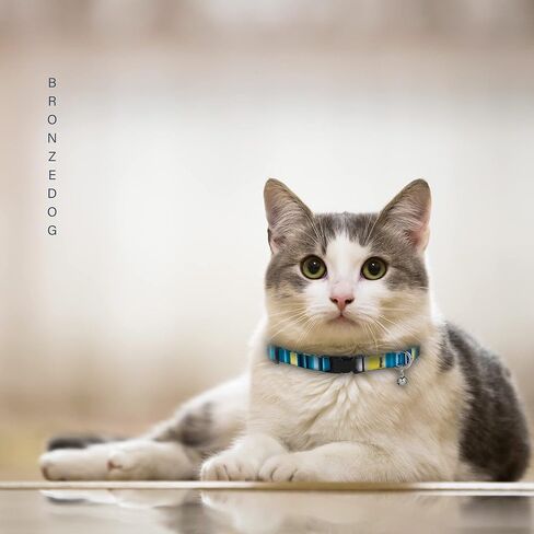 BRONZEDOG Breakaway Nylon Cat Collar with Bell 2 PCS Aztec Tribal Pattern Safety Collars for Cats Kitten Girl Boy (Aztec Sunrize & Southwest Lime Green) in Kuwait