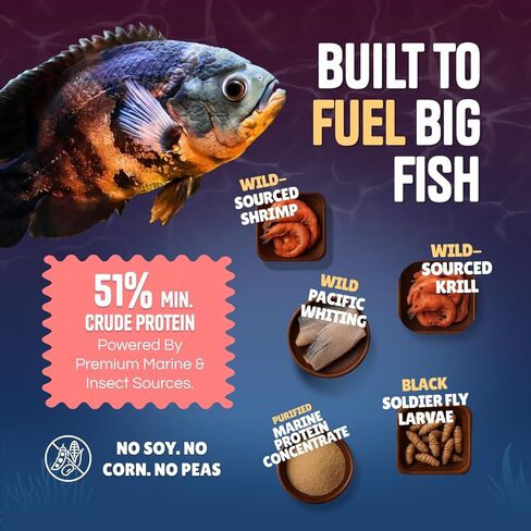 Pure Predator Cichlid Pellets | High Protein Cichlid Fish Food | Sinking Fish Food Pellets for Freshwater & Tropical Fish | Oscar & Large Cichlid Food | Aquarium Fish Food 3.5oz in Kuwait