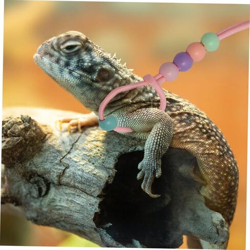 Cabilock 3pcs Adjustable Luminous Reptile Lizard Leash Set with Harness for Small Pets Bearded Dragon Outdoor Walking Traction Rope in Kuwait