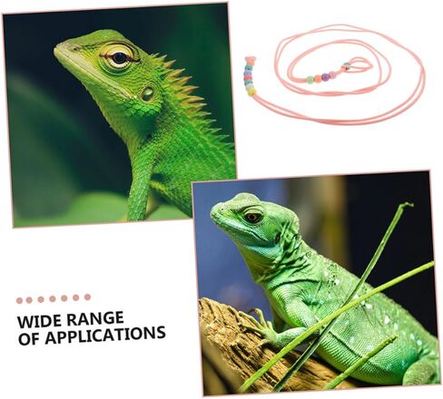 Cabilock 3pcs Adjustable Luminous Reptile Lizard Leash Set with Harness for Small Pets Bearded Dragon Outdoor Walking Traction Rope in Kuwait