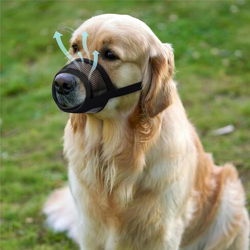Evollax Dog Muzzle متوسطة الحجم للكلاب - كمامة ناعمة للكلاب متوسطة الحجم مع شبكة هوائية | موسيل قابل للتعديل لوقف العض والنباح والمضغ | يسمح يلهث والشرب in Kuwait