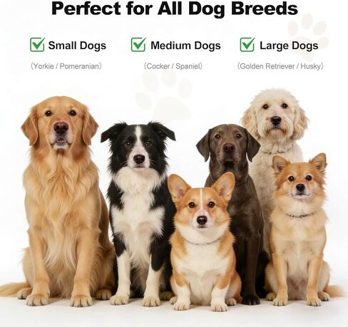 1 Gallon Dog Shampoo, Oatmeal Honey Moisturizing Shampoo for Dogs with Sensitive Dry Itchy Skin, Deodorizing & Deep Cleaning, Concentrated Formula in Kuwait