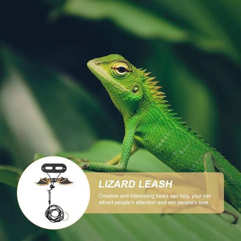 Kisangel Lizard Harness Leash Set with Colorful Wings, Adjustable Reptile Harness for Small Pets, 5pcs Black Gecko Leash for Outdoor Walking and Travel in Kuwait