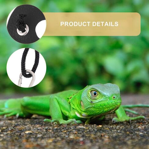 5pcs Adjustable Lizard Harness Leash Set with Wing Design for Reptile Outdoor Walking, Small Pet Safety Strap in Black in Kuwait