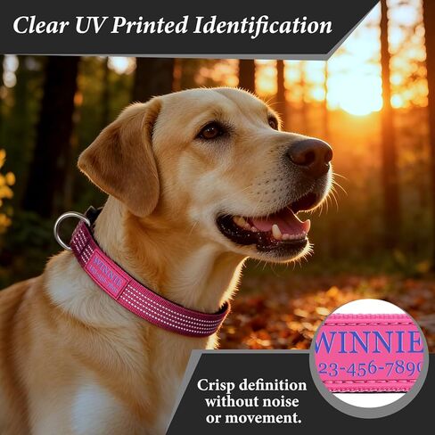 Personalized Dog Collars with Name & Phone Number, Reflective Adjustable Nylon Customized Dog Collar with Neoprene Padding, Quick Release Buckle, for Puppy Small Medium Large Dogs in Kuwait