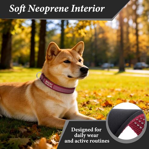 Personalized Dog Collars with Name & Phone Number, Reflective Adjustable Nylon Customized Dog Collar with Neoprene Padding, Quick Release Buckle, for Puppy Small Medium Large Dogs in Kuwait