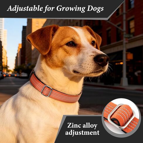 Personalized Dog Collars with Name & Phone Number, Reflective Adjustable Nylon Customized Dog Collar with Neoprene Padding, Quick Release Buckle, for Puppy Small Medium Large Dogs in Kuwait