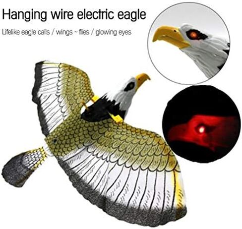Falcon Bird Scarer, Realistic Sound Deterrent for Effective Bird Control, Hanging Eagle Decoy, Weatherproof Solar-Powered Design, for Gardeners, Farmers, Parks, Farms, Backyards, O in Saudi Arabia