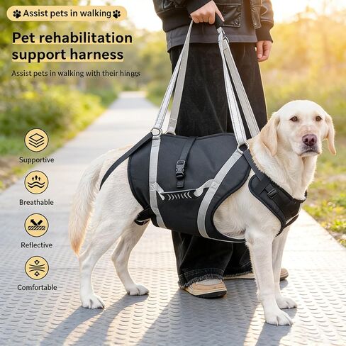 Dog Lift Harness for Senior & Injured Pets, Full Body Support Rehabilitation Dog Sling Carrier with Handles, Front/Rear Leg Assist for Arthritis, Hip Dysplasia & Post-Surgery Recovery XXL in Kuwait