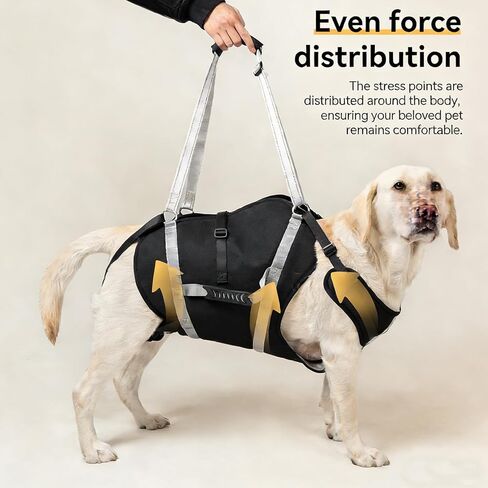 Dog Lift Harness for Senior & Injured Pets, Full Body Support Rehabilitation Dog Sling Carrier with Handles, Front/Rear Leg Assist for Arthritis, Hip Dysplasia & Post-Surgery Recovery XXL in Kuwait