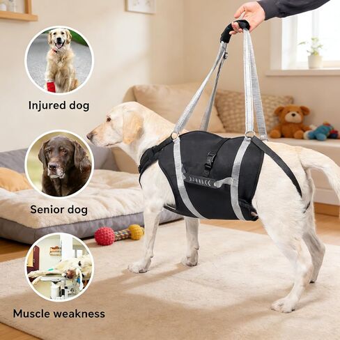 Dog Lift Harness for Senior & Injured Pets, Full Body Support Rehabilitation Dog Sling Carrier with Handles, Front/Rear Leg Assist for Arthritis, Hip Dysplasia & Post-Surgery Recovery XXL in Kuwait