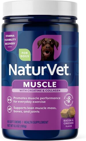 NaturVet Muscle Targeted Care Hip & Joint Supplement for Dogs, Helps Support Lean Muscle Mass, Strength & Performance with HMB, Creatine, Whey Protein, & L-Carnitine, 60 Bacon & Chicken Soft Chews in Kuwait