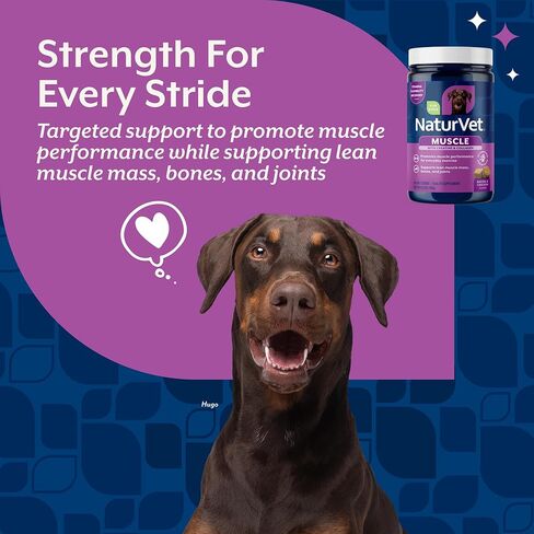 NaturVet Muscle Targeted Care Hip & Joint Supplement for Dogs, Helps Support Lean Muscle Mass, Strength & Performance with HMB, Creatine, Whey Protein, & L-Carnitine, 60 Bacon & Chicken Soft Chews in Kuwait