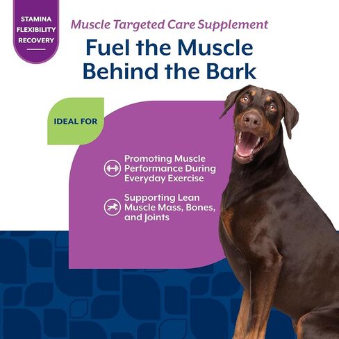 NaturVet Muscle Targeted Care Hip & Joint Supplement for Dogs, Helps Support Lean Muscle Mass, Strength & Performance with HMB, Creatine, Whey Protein, & L-Carnitine, 60 Bacon & Chicken Soft Chews in Kuwait