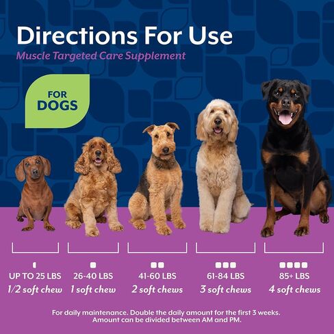 NaturVet Muscle Targeted Care Hip & Joint Supplement for Dogs, Helps Support Lean Muscle Mass, Strength & Performance with HMB, Creatine, Whey Protein, & L-Carnitine, 60 Bacon & Chicken Soft Chews in Kuwait