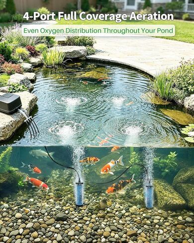 مجموعة ملحقات POPOSOAP Pond Aerator المتوافقة مع مضخات الهواء، وأنابيب خطوط الطيران السوداء بطول 52 قدمًا مع مقسم بأربعة اتجاهات و4 مجموعة تهوية لأحجار الفقاعات لخزان الأسماك في الهواء الطلق، وخزان الصرف الصحي، وحديقة المياه P801 in Kuwait