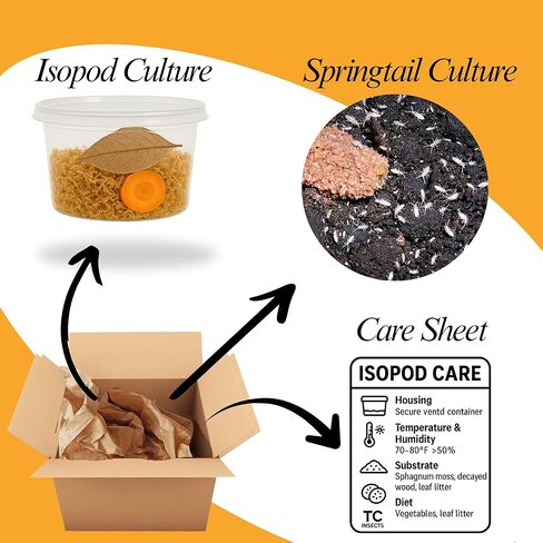 . Combo| 25 Powder Orange Isopods | 10 Orange Springtails | Live Arrival NATIONWIDE! in Kuwait