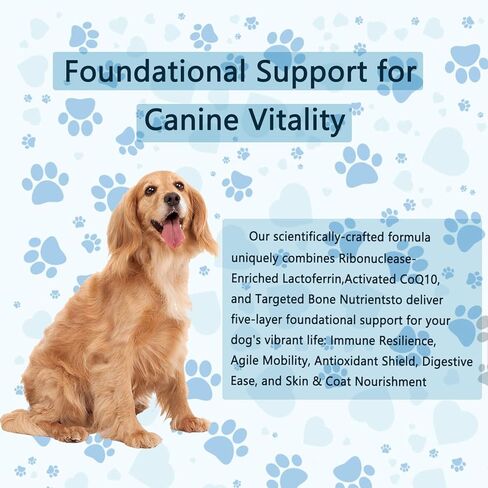 Lactoferrin for Dogs - 4oz Chicken Flavor, Supports Canine Bone, Joint & Immune Health, Premium Dog Nutritional Supplement in Kuwait
