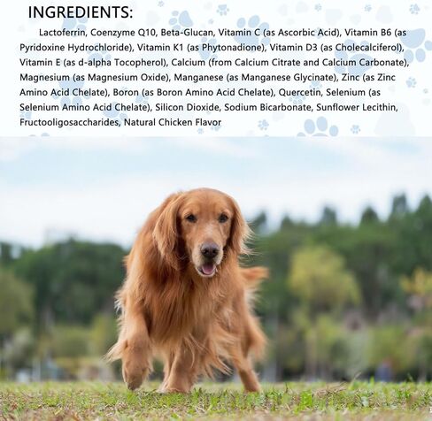 Lactoferrin for Dogs - 4oz Chicken Flavor, Supports Canine Bone, Joint & Immune Health, Premium Dog Nutritional Supplement in Kuwait