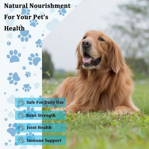 Lactoferrin for Dogs - 4oz Chicken Flavor, Supports Canine Bone, Joint & Immune Health, Premium Dog Nutritional Supplement in Kuwait