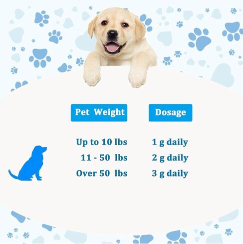 Lactoferrin for Dogs - 4oz Chicken Flavor, Supports Canine Bone, Joint & Immune Health, Premium Dog Nutritional Supplement in Kuwait