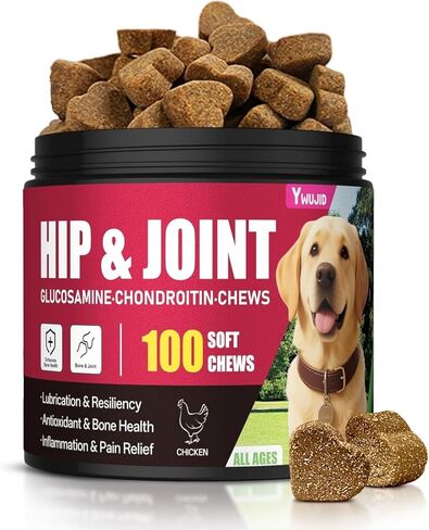 Hip and Joint Supplement for Dogs, Advanced Glucosamine for Dogs Vet-Formulated with Chondroitin, Msm,Omega 3, Pet Joint Health Support Mobility for All Puppy, Adult & Large Breed & Senior Dog in Kuwait