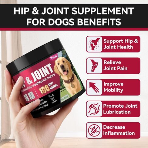 Hip and Joint Supplement for Dogs, Advanced Glucosamine for Dogs Vet-Formulated with Chondroitin, Msm,Omega 3, Pet Joint Health Support Mobility for All Puppy, Adult & Large Breed & Senior Dog in Kuwait