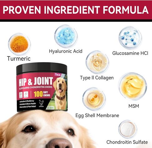 Hip and Joint Supplement for Dogs, Advanced Glucosamine for Dogs Vet-Formulated with Chondroitin, Msm,Omega 3, Pet Joint Health Support Mobility for All Puppy, Adult & Large Breed & Senior Dog in Kuwait