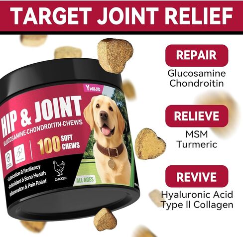 Hip and Joint Supplement for Dogs, Advanced Glucosamine for Dogs Vet-Formulated with Chondroitin, Msm,Omega 3, Pet Joint Health Support Mobility for All Puppy, Adult & Large Breed & Senior Dog in Kuwait