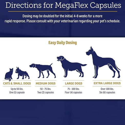 Rx Vitamins MegaFlex Cat and Dog Joint Supplement - Glucosamine Sulfate with MSM, Vitamin C, & Sea Cucumber - Supports Joint Flexibility and Mobility - for All Breeds and Sizes - 600 Capsules in Kuwait