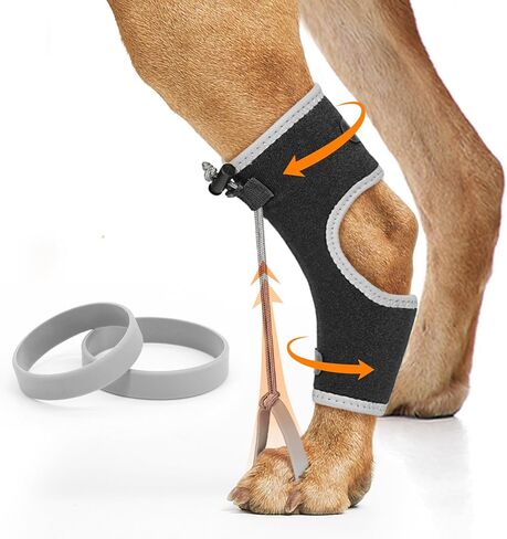 Supet Knuckling Brace for Dogs, Comfortable Foot Splint, Ankle Brace Back Leg for Toe Dragging Cause by Myelopathy, Sciatic Nerve Insufficiency & Herniated Disc, Black L in Saudi Arabia